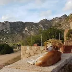 Сasa de vacaciones Osseddu *