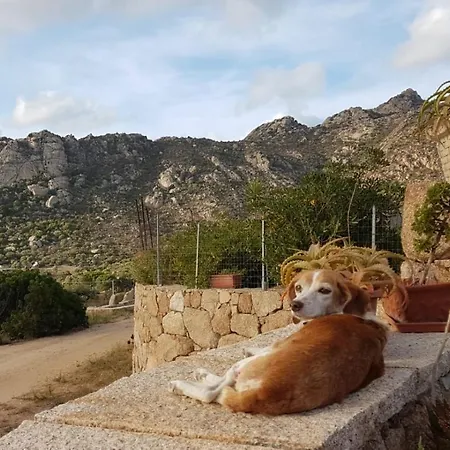 Dom wakacyjny Osseddu *