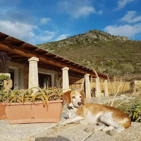 Osseddu Сasa de vacaciones Olbia