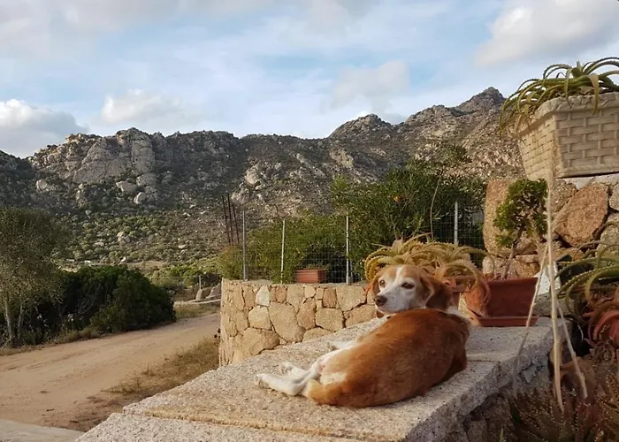 Nyaraló Osseddu *